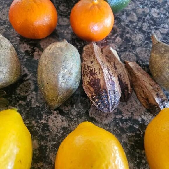 Faux Fruit Lemons Oranges Limes and Weird Alien Seed Pods - Picture 5 of 6